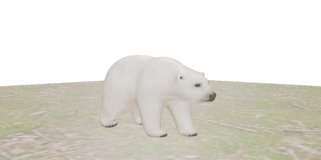 Animal Motions - Polar Bear